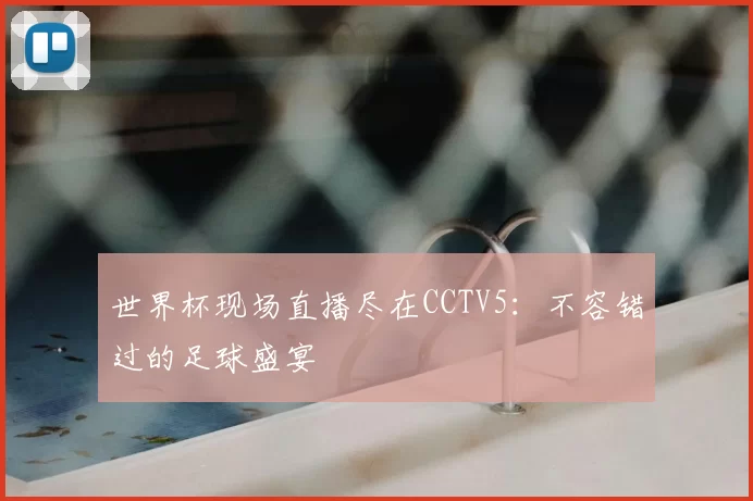 世界杯现场直播尽在CCTV5：不容错过的足球盛宴
