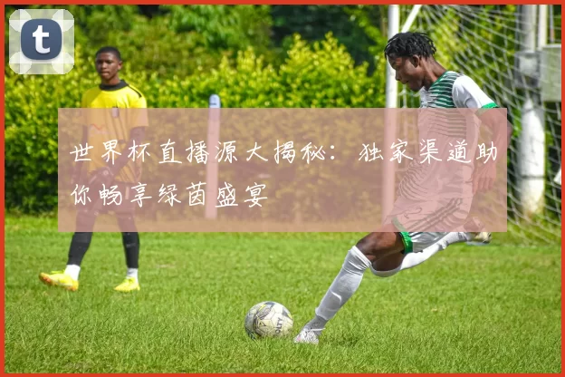 世界杯直播源大揭秘：独家渠道助你畅享绿茵盛宴