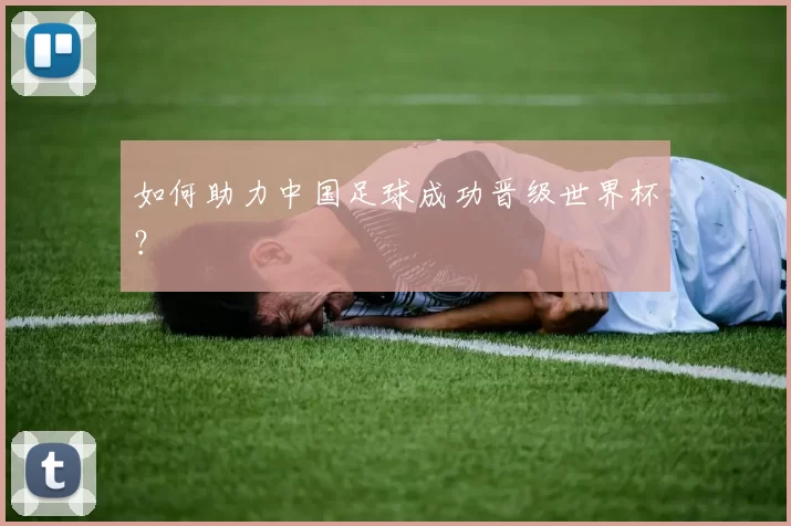 如何助力中国足球成功晋级世界杯？