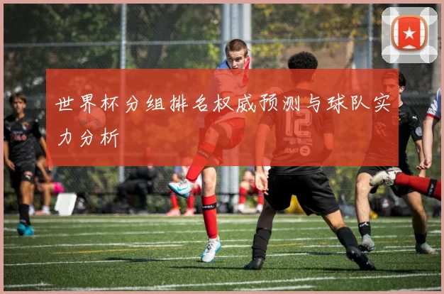 世界杯分组排名权威预测与球队实力分析