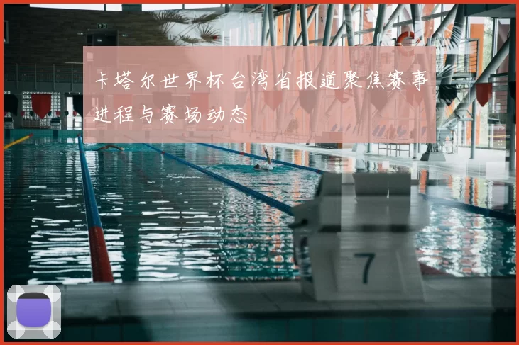 卡塔尔世界杯台湾省报道聚焦赛事进程与赛场动态