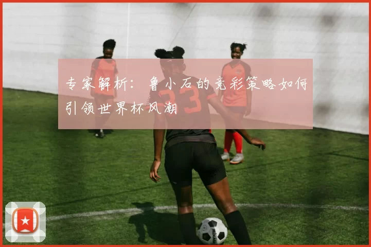 专家解析：鲁小石的竞彩策略如何引领世界杯风潮