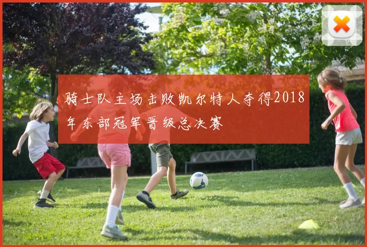 骑士队主场击败凯尔特人夺得2018年东部冠军晋级总决赛