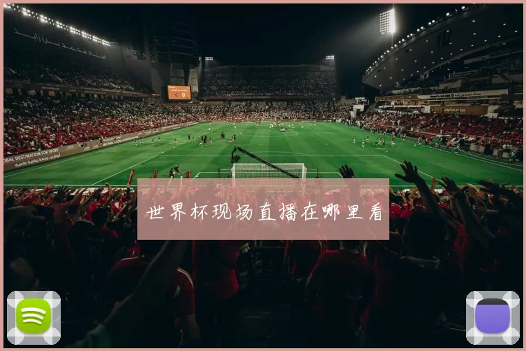 世界杯现场直播在哪里看
