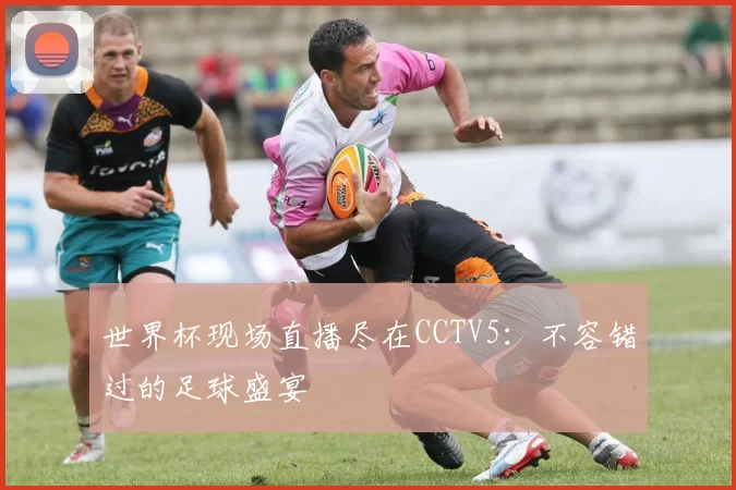 世界杯现场直播尽在CCTV5:不容错过的足球盛宴