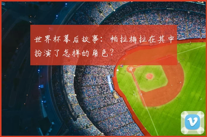 世界杯幕后故事：帕拉梅拉在其中扮演了怎样的角色？