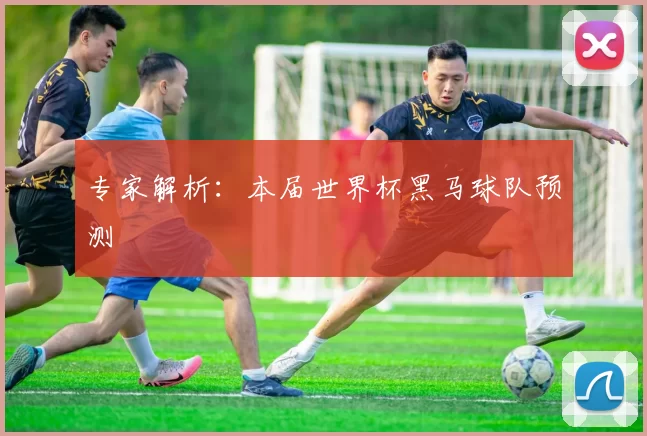 专家解析：本届世界杯黑马球队预测